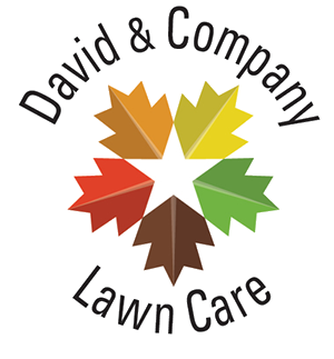 David Company Lawn Care